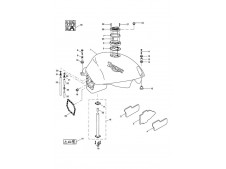 Aforador Triumph tiger 955 2001-2002