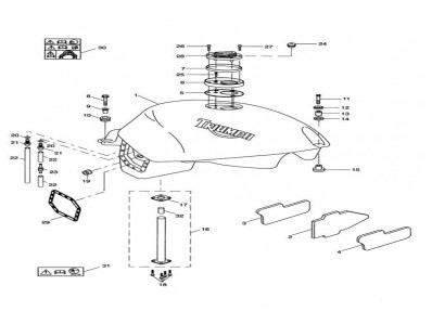 Aforador Triumph tiger 955 2001-2002