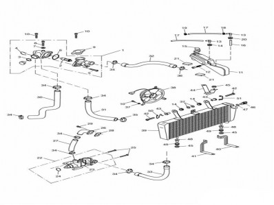 Deposito anticongelante Triumph St 955 1999 - 2001