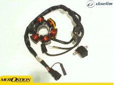 Bobina encendido DAELIM S FIVE 50 2005-2005 Recambio Ocasion