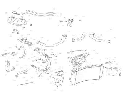Deposito anticongelante Triumph Street 675 2010-2011