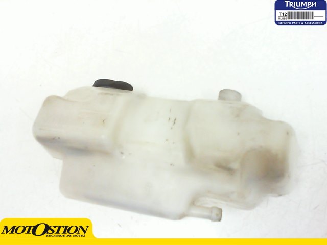Deposito anticongelante Triumph Street 675 2010-2011