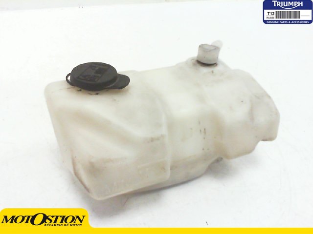 Deposito anticongelante Triumph Street 675 2010-2011