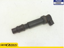 Bobina alta Triumph Street 675 2010-2011