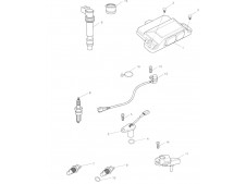 Cdi Triumph Speed triple 1050 2006-2007