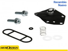Kit Reparación grifo de gasolina ZX600 ZX750 FCK-20 Accesorios y recambios Accesorios y recambios