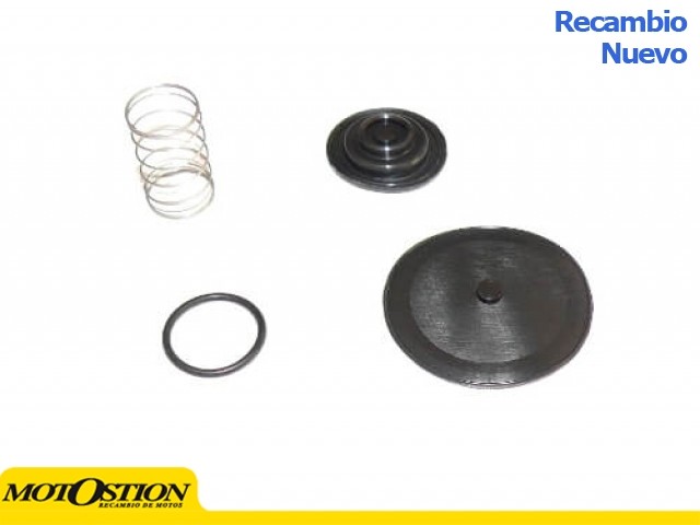 Kit Reparación grifo de gasolina GL15000 FCK-41 Accesorios y recambios Accesorios y recambios
