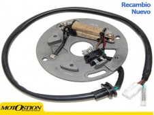 STATOR WR250 90-97 Estatores Estatores