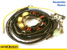 STATOR2 CRF250R 04-09 Estatores Estatores