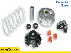 Variador Multivar Malossi PIAGGIO 50CC 2T&4T ZIP/FLY/LIBERTY 50 4T 51 9019 Variadores Variadores