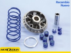 Variador Polini HONDA FORESIGHT 250 (241605) Variadores Variadores