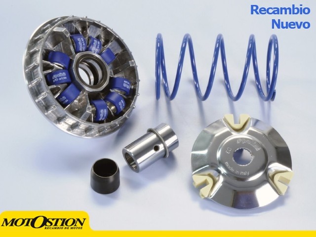 Variador Polini HI-SPEED PIAG. 200/250/300 9R. (241665) Variadores Variadores