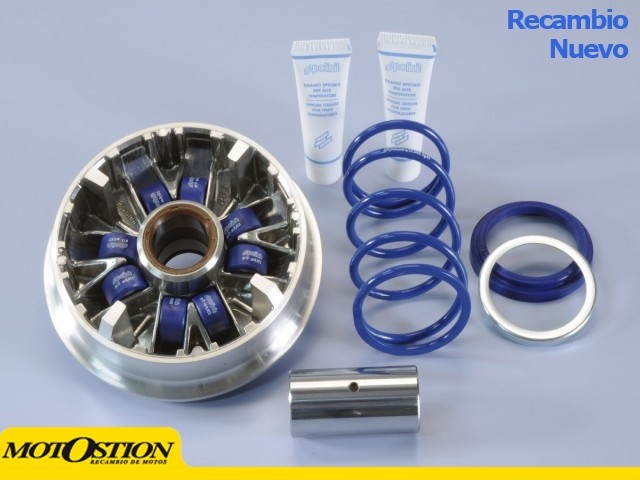 Variador Polini YAMAHA MAJESTY 400>2009 (241693) Variadores Variadores