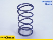 Contraresorte Polini SUZUKI BURGMAN 400 (243074) Contrarresortes y muelles de embrague Contrarresortes y muelles de embrague