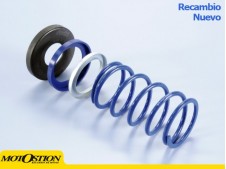 Contraresorte Polini EVO SLIDER T-MAX 500 (243096) Contrarresortes y muelles de embrague Contrarresortes y muelles de embrague