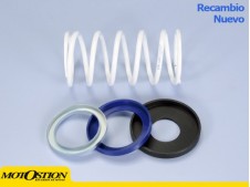 Contraresorte Polini EVO-SLIDER T-MAX500 (243098) Contrarresortes y muelles de embrague Contrarresortes y muelles de embrague