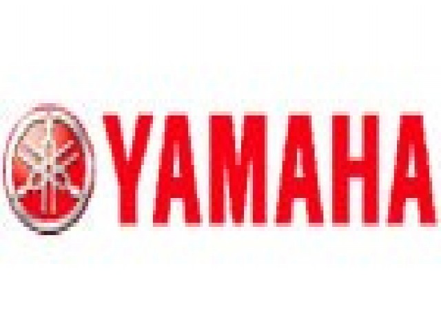 Disco freno delantero reparar YAMAHA FAZER 600 2004-2005  segunda mano