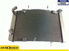 Radiador agua Triumph Street 675 2010-2011