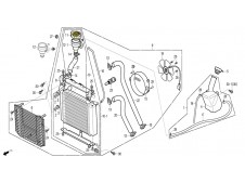 Boca tapon radiador Daelim Roadwin 125 R 2007 - 2011