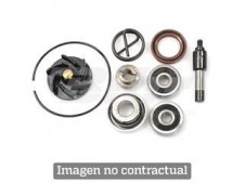 Kit reparación bomba de agua Centauro CR500 85-95 666A007WP