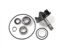 Kit de reparación bomba de agua XP T-Max 530