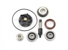 Kit de reparación bomba de agua Beverly 300