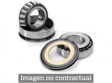 Kit rodamientos de columna All Balls 22-1015