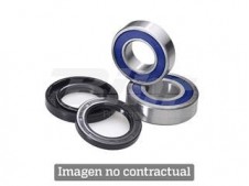 Kit de rodamientos y retenes de columna All Balls 22-1011