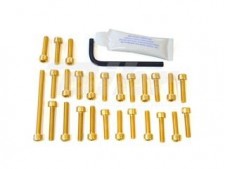 Tornilleria c/allen tapa motor Pro-Bolt Aluminio oro eR6 05-08 EKA165G