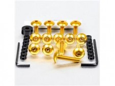 Kit tornillos de carenado Pro-Bolt Aluminio oro eR6 05-08 FKA165G