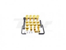Kit tornillos de carenado Pro-Bolt Aluminio oro Triumph street triple 675 07+ FTR125G