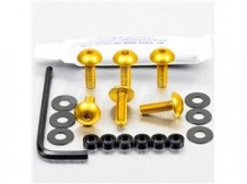 Kit tornillos de carenado Pro-Bolt Aluminio oro tdm 850 96-01 FYA351G