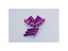 Kit tornillos de carenado Pro-Bolt ZX10R (08-10) aluminio violeta FKA287P