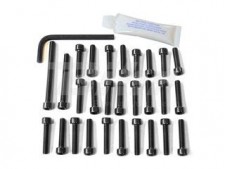 Kit tornillería aluminio motor Pro-Bolt EBM010BK Negro