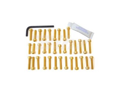 Kit tornillería aluminio motor Pro-Bolt EOKT80G Oro