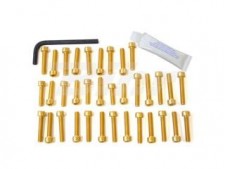 Kit tornillería aluminio motor Pro-Bolt ESU089G Oro