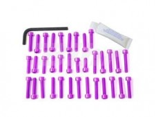 Kit tornillería aluminio motor Pro-Bolt EBM400P Violeta