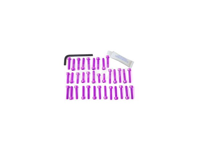 Kit tornillería aluminio motor Pro-Bolt EBM500P Violeta