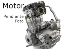 Motor completo del despiece o desguace de una moto Bmw r1200 gs lc 2013 - 2018