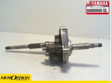 GRUPO TRASERO TRANSMISION Yamaha Xmax 125 y Xmax 125 ABS 2016 - 2019