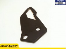 EMBELLECEDOR SOPORTE ESTRIBERA DELANTERA DERECHA Triumph Tiger explor