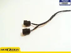 SISTEMA ELECTRICO ANTINIEBLA Triumph Tiger explorer 1200 2012 - 2018