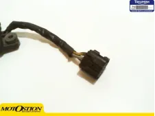 CDI INMOBILIZADOR ECU Triumph Tiger explorer 1200 2012 - 2018