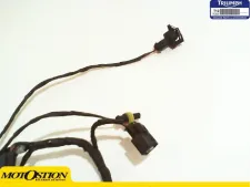 SISTEMA ELECTRICO INYECTORES Triumph tiger explorer 1200 2012 - 2018