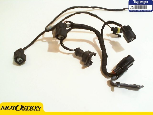 SISTEMA ELECTRICO INYECTORES Triumph tiger explorer 1200 2012 - 2018