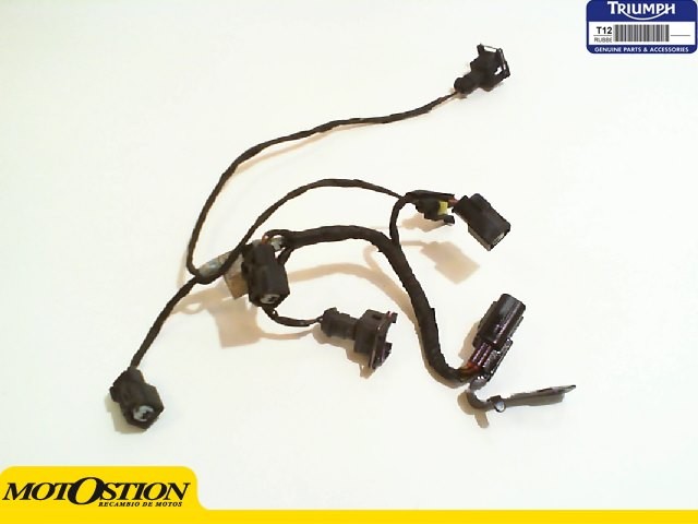SISTEMA ELECTRICO INYECTORES Triumph tiger explorer 1200 2012 - 2018