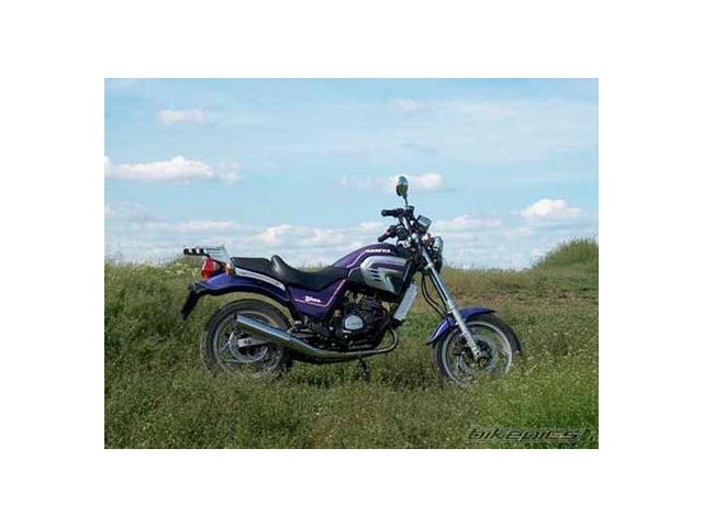 Aleta delantera morada CAGIVA BLUES 125 1989-1992  recambios para moto