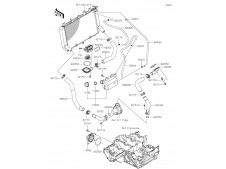 Deposito anticongelante Kawasaki Z900 E 2020 - 2021