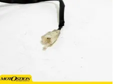 Interruptor freno trasero Daelim Roadwin 125 2004 - 2008