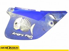 Cacha derecha RIEJU RR 50 1999-2007  repuestos de motos